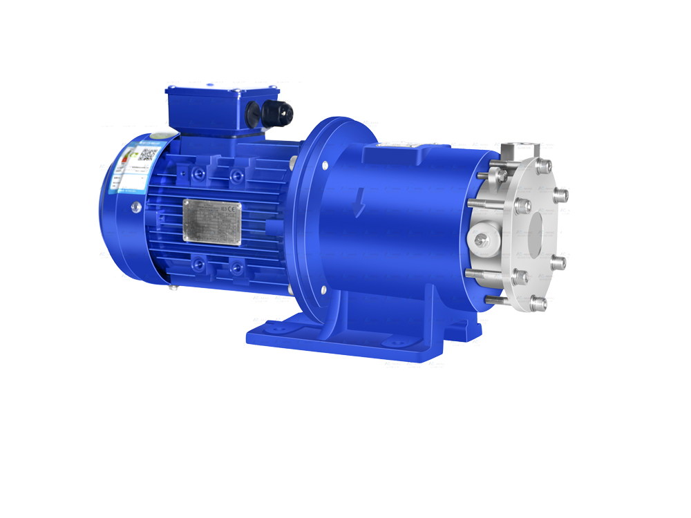 High lift reversible stainless steel magnetic pump